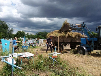 Наведение санитарного порядка на сельских кладбищах